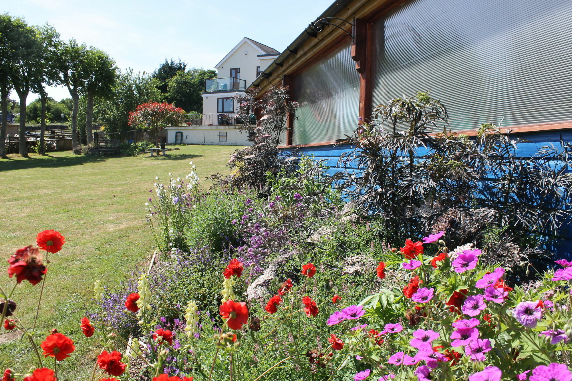 Homelea Bed And Breakfast Canterbury Exterior foto